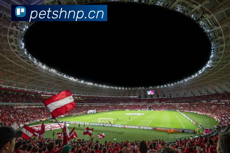 星空体育app官网登录APP 封面图